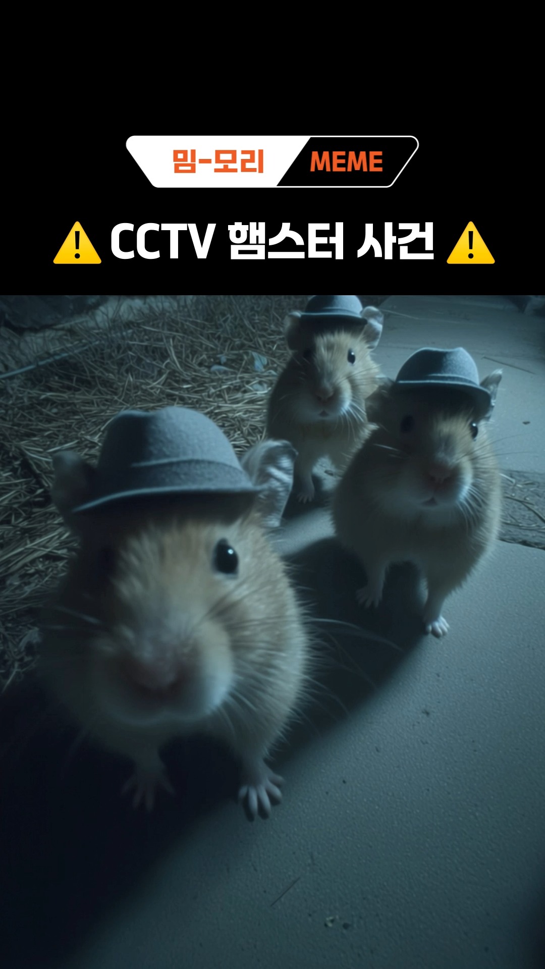 [밈-모리 6편] CCTV 햄스터 ZUFS사건💾

한밤중 CCTV에 포착된 햄스터의 수상한 움직임…

🔔띵동, 고객님! 
주문하신 ZUFS 배달 왔습니다.
데이터를 영역별로 저장할 수 있도록 특수 제작했습니다 🐹 

온디바이스 AI에 최적화된 ZUFS, 지금 바로 확인해보세요!
그럼 잠든 사이, 햄스터가 다녀갈지도 몰라요…😴

밈-모리(MEME-MORY)와 함께라면 반도체 어렵지 않아! 🎥

*생성형 AI를 활용해 제작하였습니다

#온라인 토토사이트 신고하이닉스 #밈모리 #MEMEmory #밈 #ZUFS #온디바이스AI #CCTVAI #AI유머 #햄스터