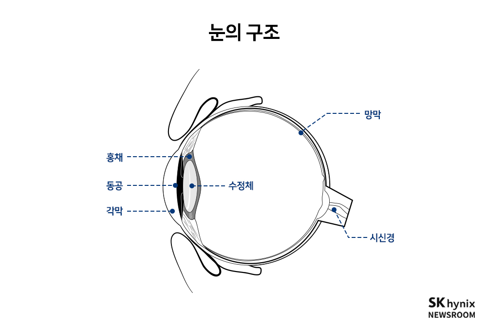 [반도체가 만드는 세상] 내 눈 안의 컴퓨터 ‘스마트 아이(EYE)’ – SK hynix Newsroom