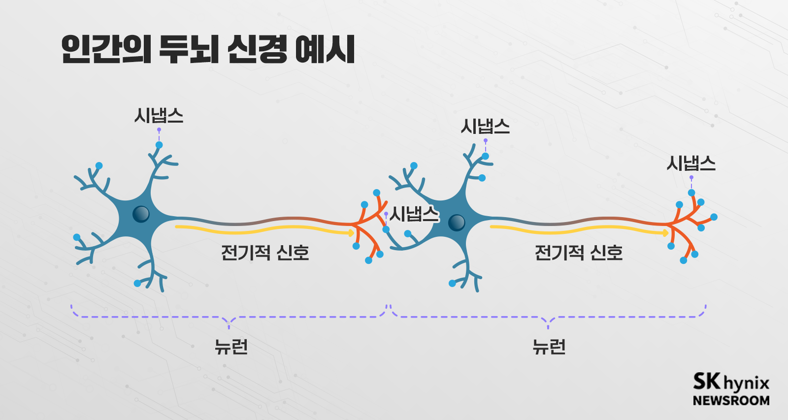 인간의_두뇌_신경_예시