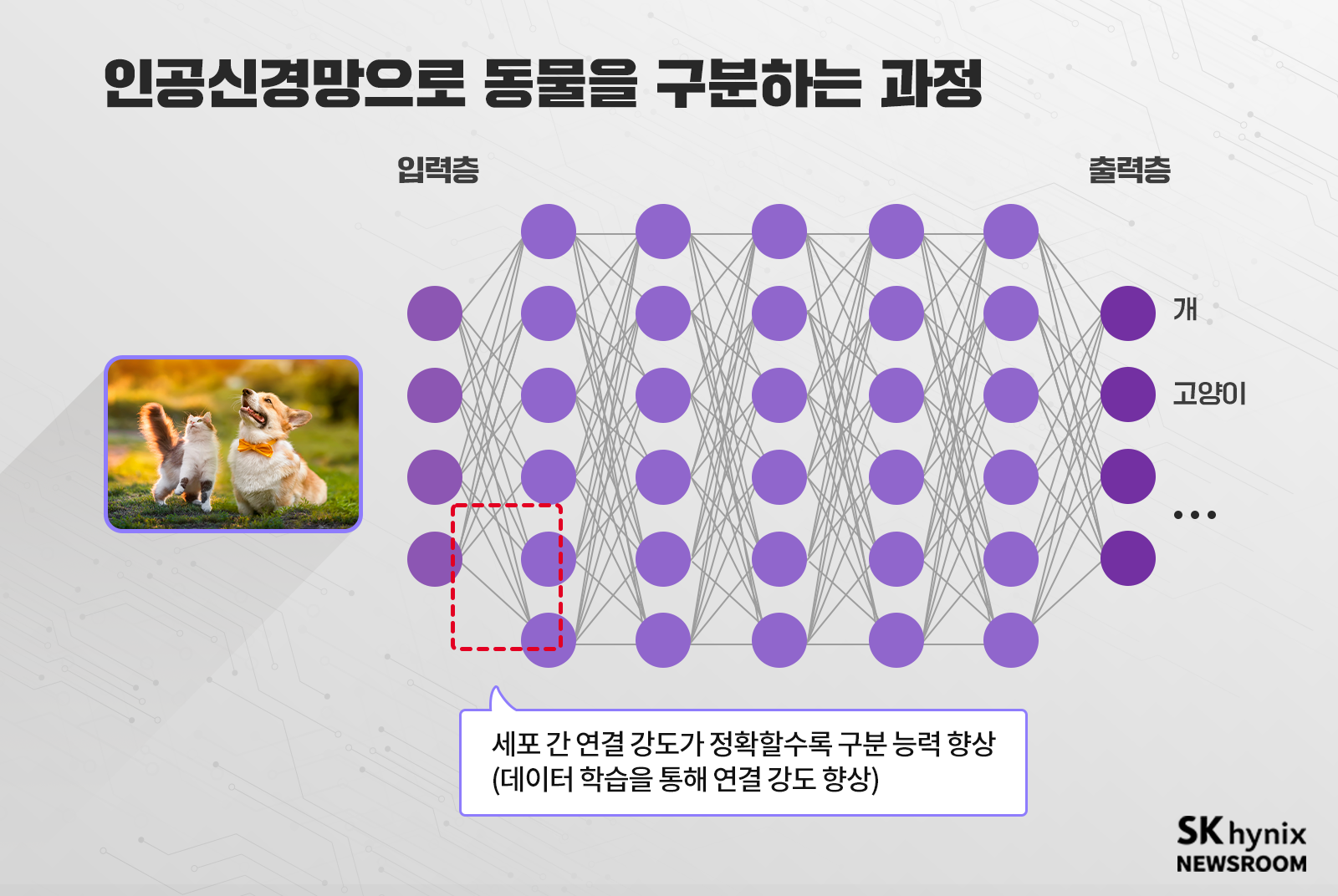 인공신경망으로_동물을_구분하는_과정