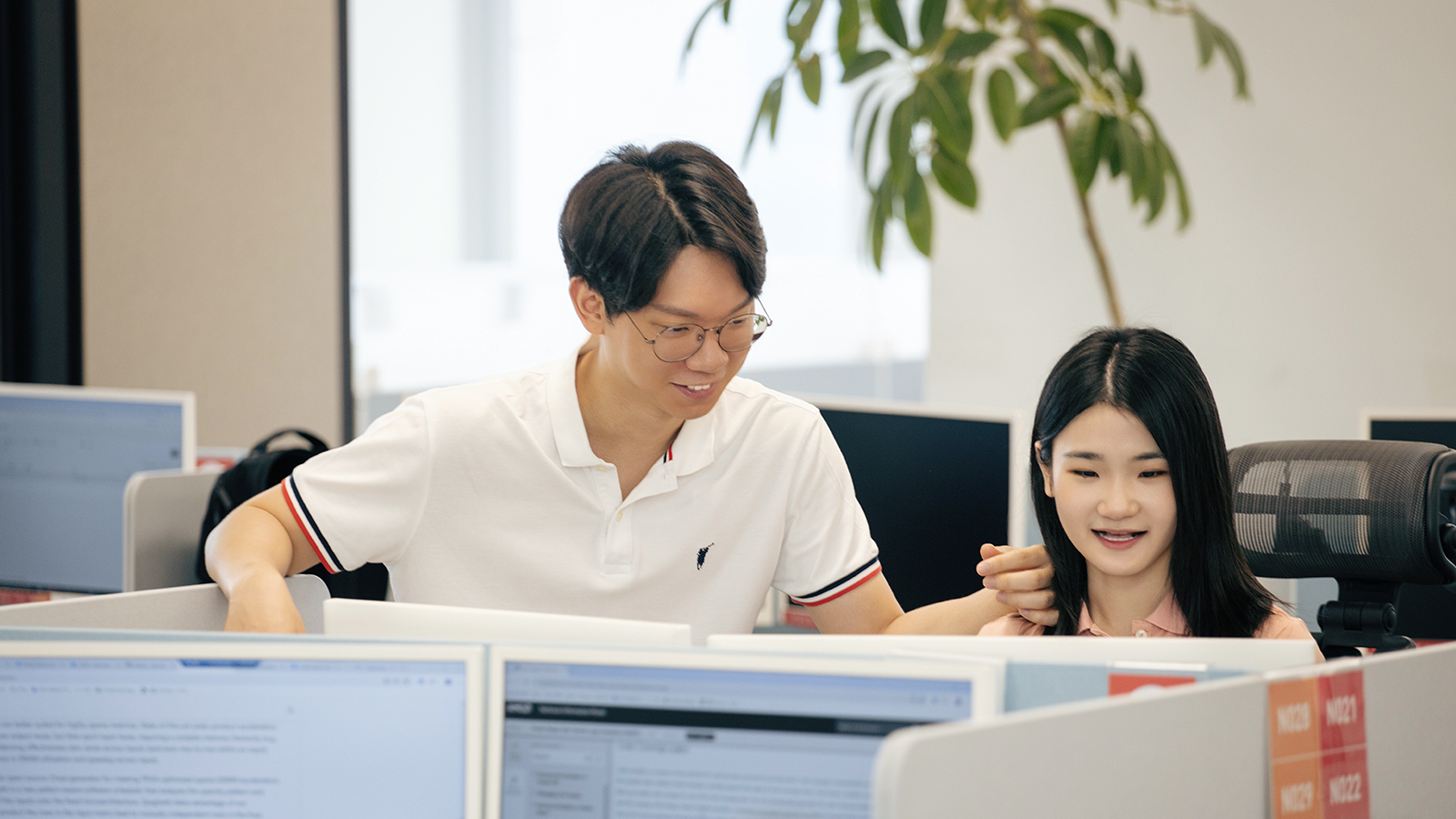 카지노 사이트