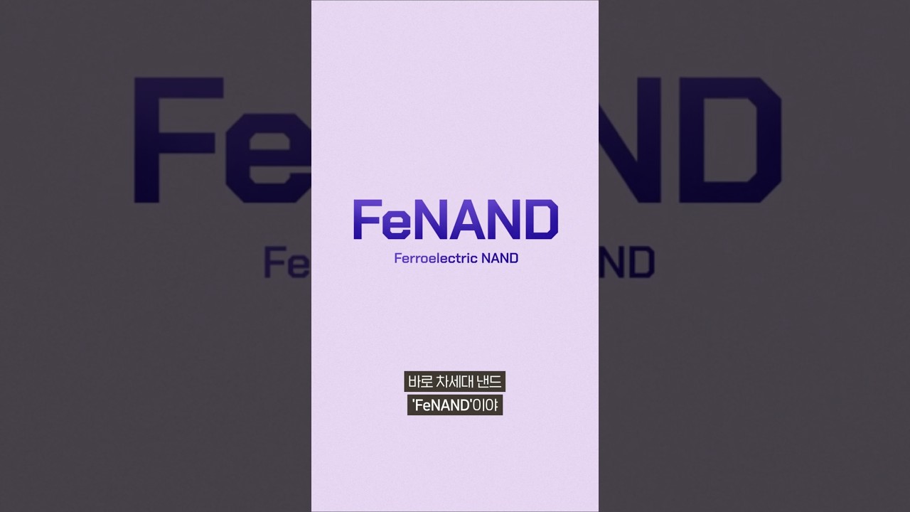 [CHIP EASY 11편] 미래형 갓메모리 차세대 낸드 FeNAND