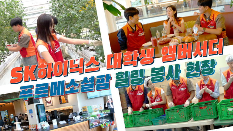 카지노 사이트