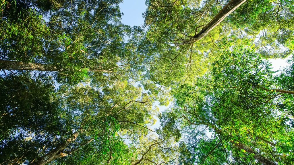 THUMB earth day 2026 1290x726